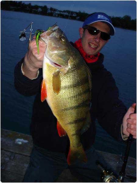 Spinnerbait rockt!  DR. CATCH - besser angeln!