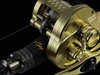 MegaBass Destroyer P5 Hien F3-610X_00_CC closeup Kopie.jpg