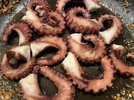 Pulpo_220406_4.jpg