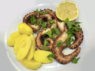 Pulpo_220406_6.jpg