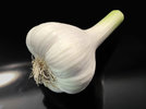 Knoblauch 220831.jpg