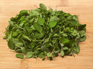 4 Oregano Majoran 220902.jpg