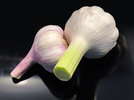 0 Knoblauch 221110.jpg