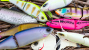 swimbaits-9687-2.jpg