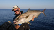 Amberjack aus dem Mittelmeer