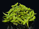 5 Edamame 241023.JPG