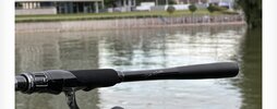 IMG_7518.jpeg