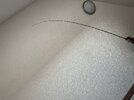 IMG_9492.jpeg