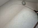 IMG_9494.jpeg