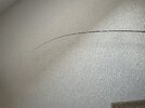 IMG_9495.jpeg