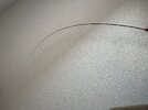 IMG_9496.jpeg