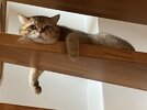 IMG_9488.jpeg