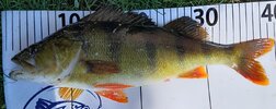 20250511_B39.jpg