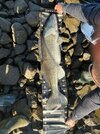 IMG-20250513-WA0007.jpg