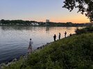 IMG_1238.jpeg