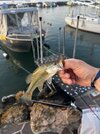 IMG_1587.jpeg