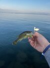 IMG_1589.jpeg