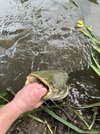 IMG_6918.jpeg