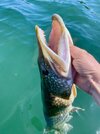 IMG_0180.jpeg