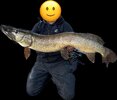 IMG_0822.jpeg