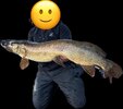 IMG_0821.jpeg