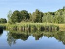 IMG_4241.jpeg