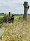 IMG_4249.jpeg