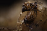 _O9A5965-Bearbeitet.JPG