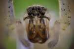 _O9A6534-Bearbeitet.JPG
