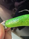 IMG_4613.jpeg