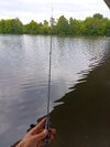 IMG_20250712_191804.jpg