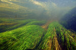 DSC04651a.JPG