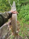 IMG_20250716_204954.jpg