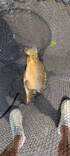 IMG_20250728_143628.jpg