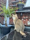 IMG_9454.jpeg