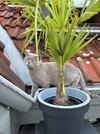 IMG_0208.jpeg