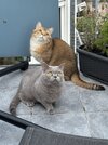 IMG_0255.jpeg