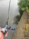 IMG_0429.jpeg