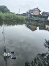 IMG_0420.jpeg