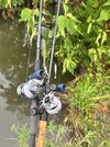 IMG_0431.jpeg