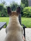 IMG_2504.jpeg