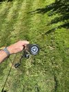 IMG_2741.jpeg