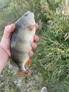 IMG_0502.jpeg