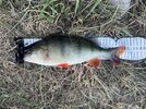 IMG_0567.jpeg