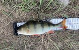 IMG_0566.jpeg