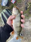 IMG_0557.jpeg