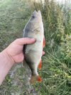 IMG_0503.jpeg
