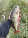 IMG_0541.jpeg