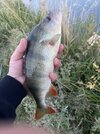 IMG_0534.jpeg