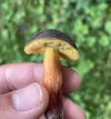 IMG_3810.jpeg